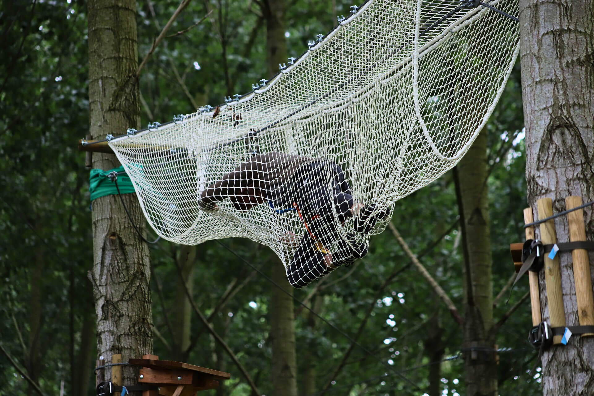 Accrobranche - Photo 2