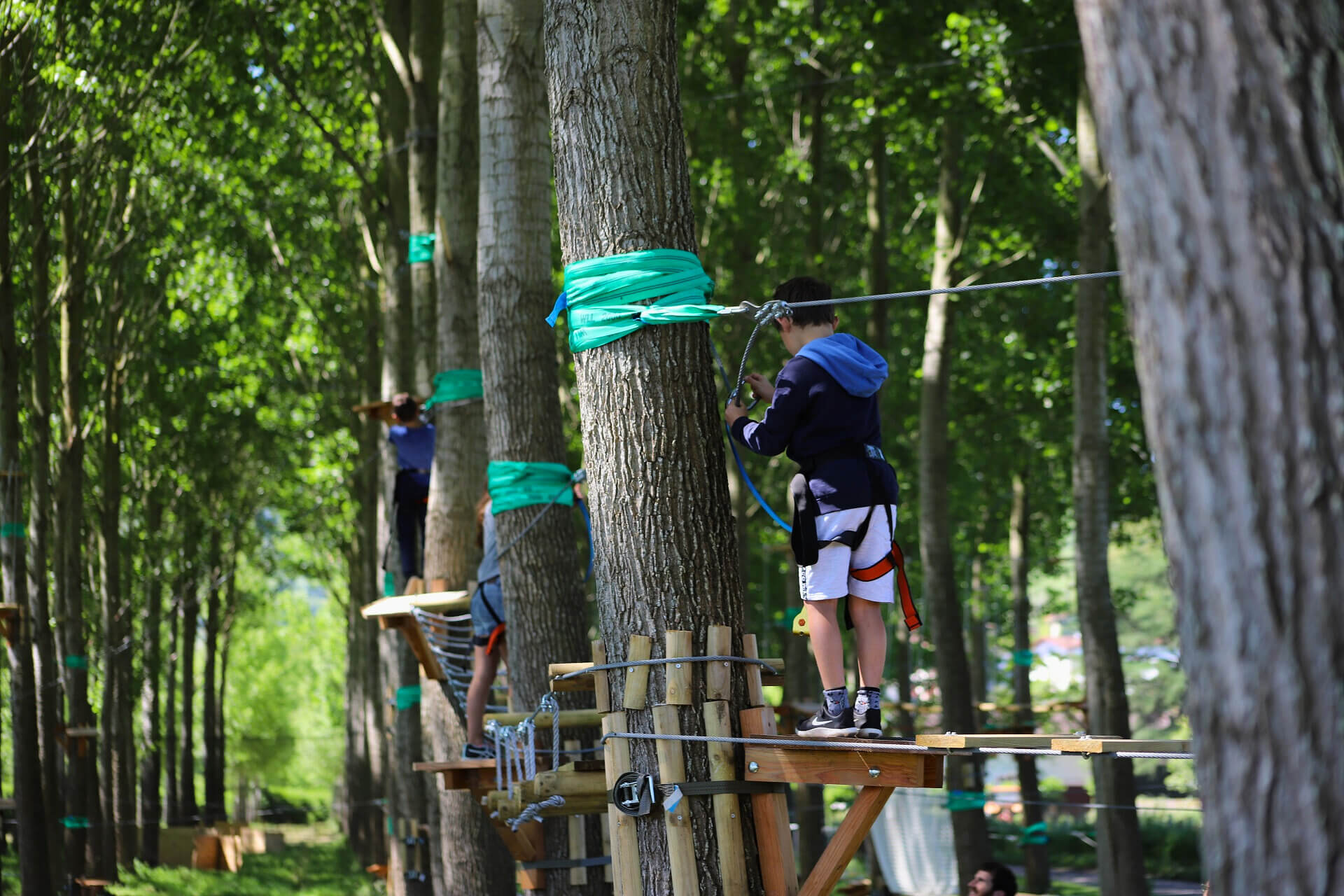 Accrobranche - Photo 3