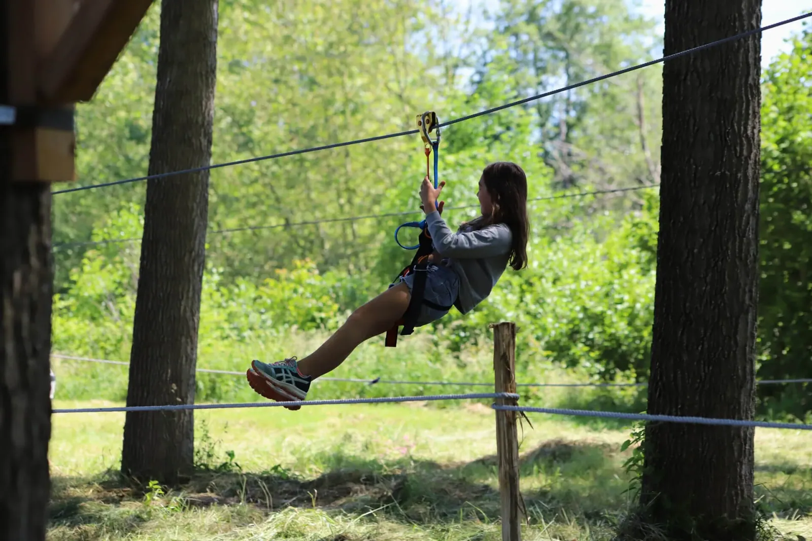 Accrobranche - Photo 6